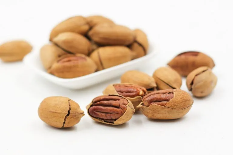 核桃完整百科 — 植物性Omega-3之王
